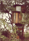 treehouse.GIF (104606 bytes)